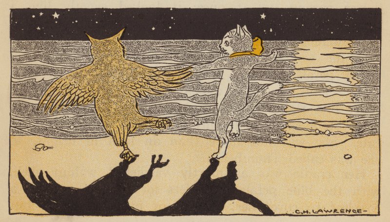 フクロウとプッシーキャット (カラーリソ) 作： アメリカの学校
