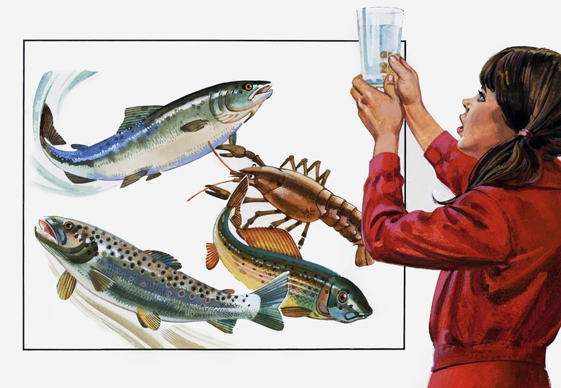 洗濯が必要なのは水の方だ！ 作： アンドリュー・ハウワット
