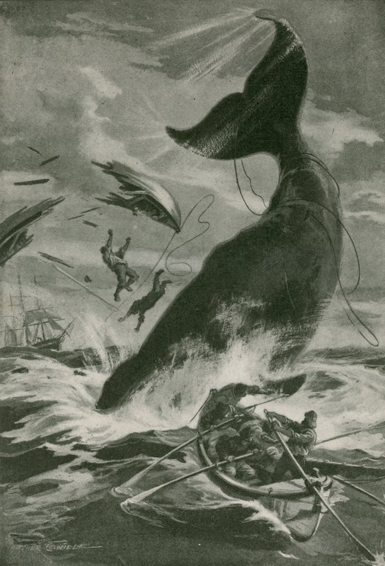 マッコウクジラの戦い 作： アーサー・トワイドル