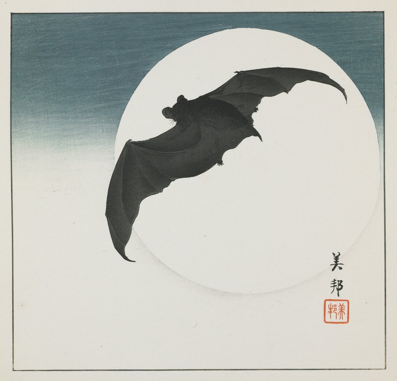Biho_Takashi_or_Takahashi_(