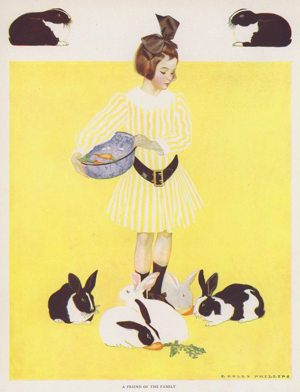 Coles Phillips Girl, a Friend of the Family（カラーリトグラフ版 作： C.コールズフィリップス