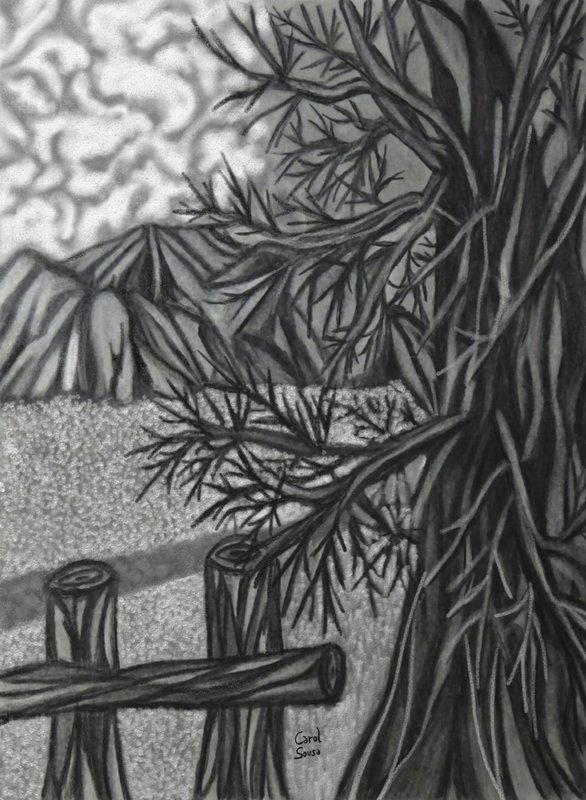 CAGRAIN CANSO 作 鉛筆画 / 木炭画 Carol_Sousa_Cuello_-