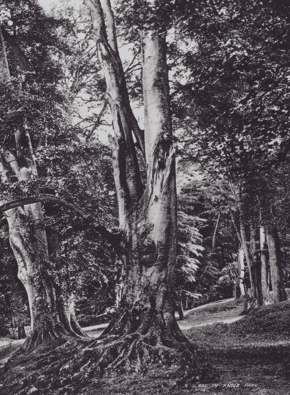 クノール・パークの緑陰（モノクロ写真 作： チャールズエッセンハイコーク