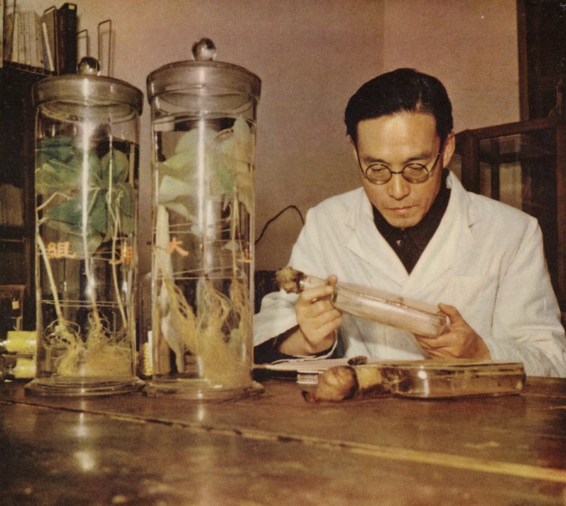 1950年代、長春研究所の中国人農民、中華人民共和国 作： 中国の写真家
