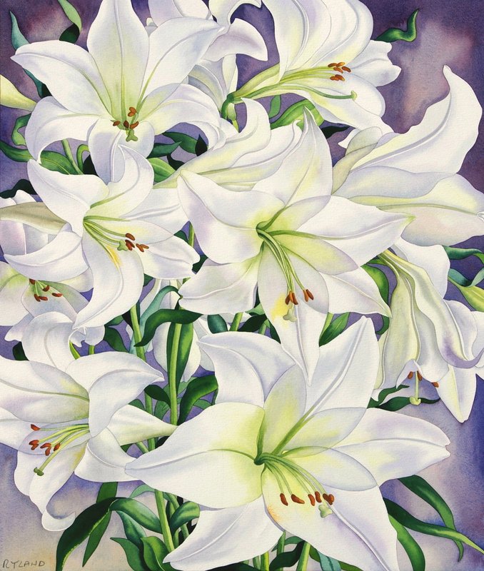 Christopher_Ryland_-