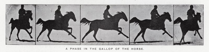 Eadweard Muybridge（エドワード・マイブリッジ）。馬のギャロップの段階（モノクロ写真 作： エドワード・マイブリッジ
