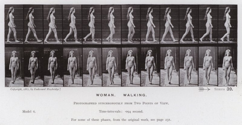 動く人間の姿。歩く女性（モノクロ写真 作： エドワード・マイブリッジ