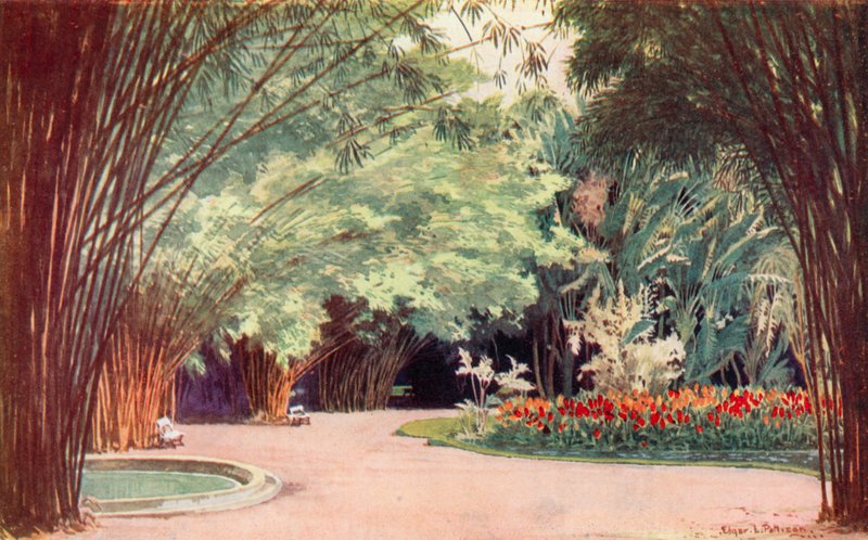 竹林、植物園 (カラー リソ) 作： エドガー・L・パティソン