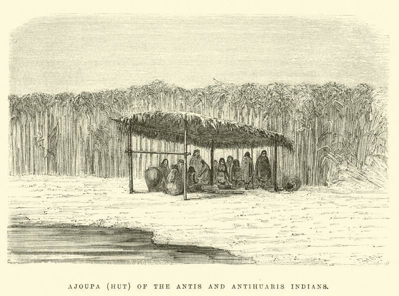 Antis and Antihuaris IndiansのAjoupa（小屋） 作： Edouard Riou