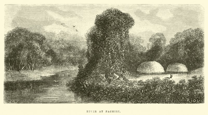 River at Pachiri  作： Edouard Riou