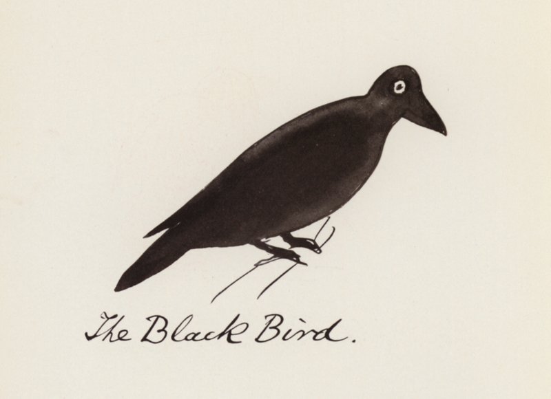 Edward Lear, The Bird Book: The Black Bird (カラーリソ) 作： エドワード（後）リア
