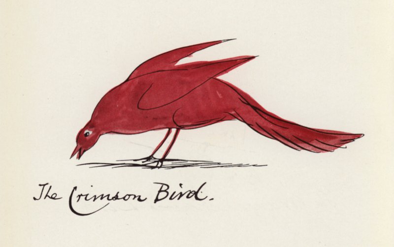 エドワード・リア、The Bird Book: The Crimson Bird (カラーリソ) 作： エドワード（後）リア