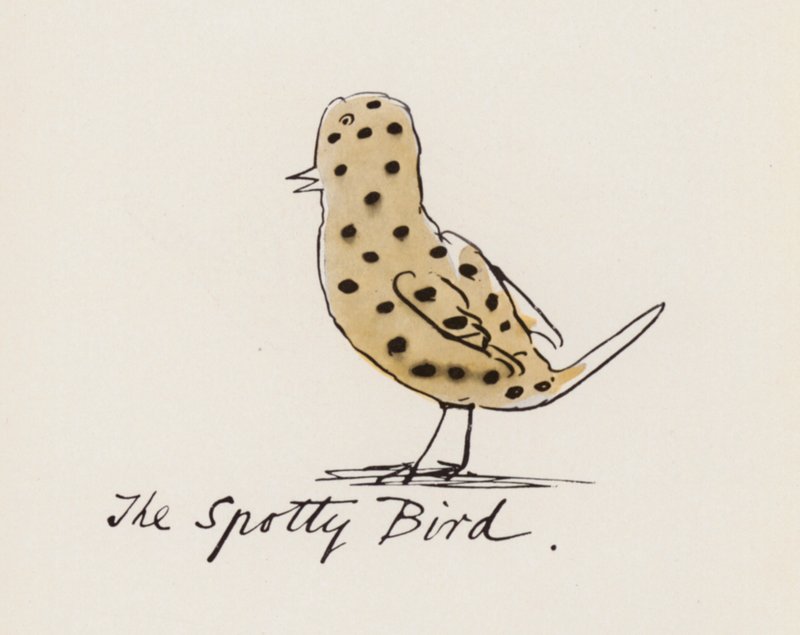 Edward Lear, The Bird Book: The Spotty Bird (カラー リソ) 作： エドワード（後）リア