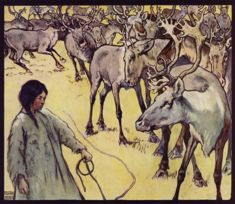 A Lapp Girl with Herd of Reindeer (カラーリトグラフ) 作： エドウィン・ノーブル