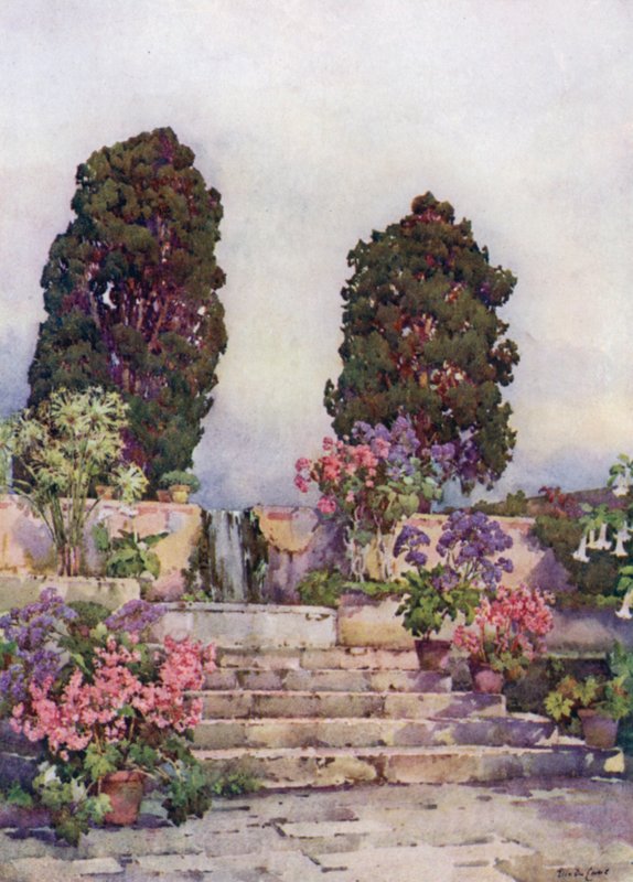 植物園、オロタバ (カラー メンバー) 作： エラデュケイン