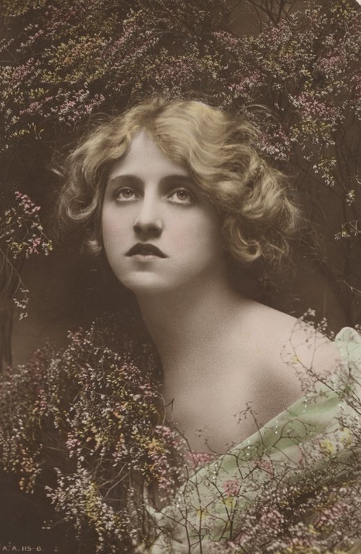 ヘザーと思われる植物に囲まれた美しい少女（写真） 作： 英語の写真家