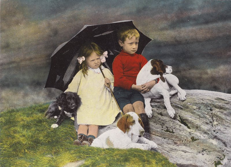 傘の下に避難する3匹の犬を連れた少年少女（カラー写真） 作： 英語の写真家