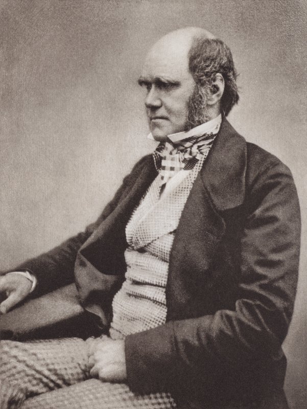 チャールズ・ダーウィン、肖像画、1854年頃、Maull  Foxの写真より（モノクロ写真） 作： 英語の写真家
