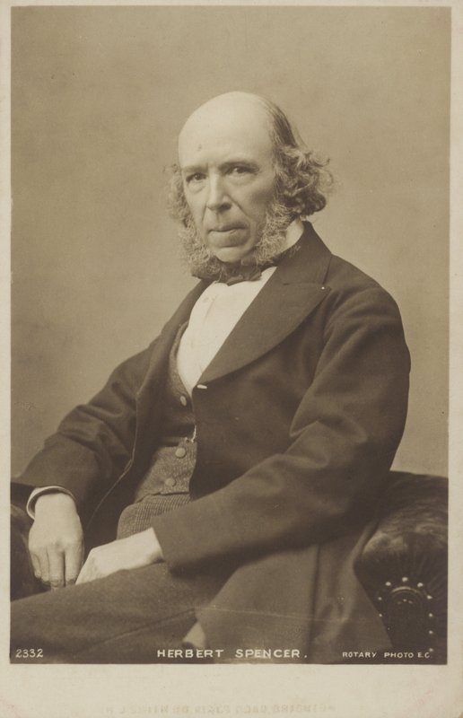 ハーバート・スペンサー（1820-1903）、イギリスの哲学者、政治理論家、生物学者、社会学者 作： 英語の写真家