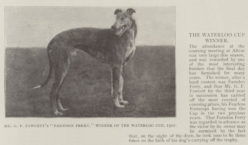 GFフォーセットファーンドンフェリー氏、ウォータールーカップ優勝、1902年 作： 英語の写真家