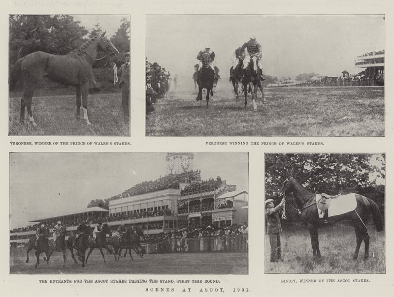 アスコットでのシーン、1901 作： 英語の写真家