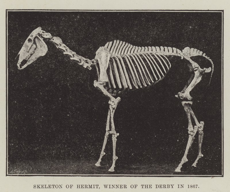 1867年にダービーの勝者である隠者の骸骨 作： 英語の写真家