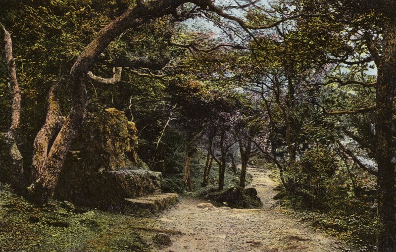 地すべりの石座 作： 英語の写真家