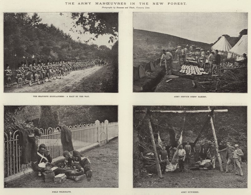 新しい森での軍の作戦 作： 英語の写真家
