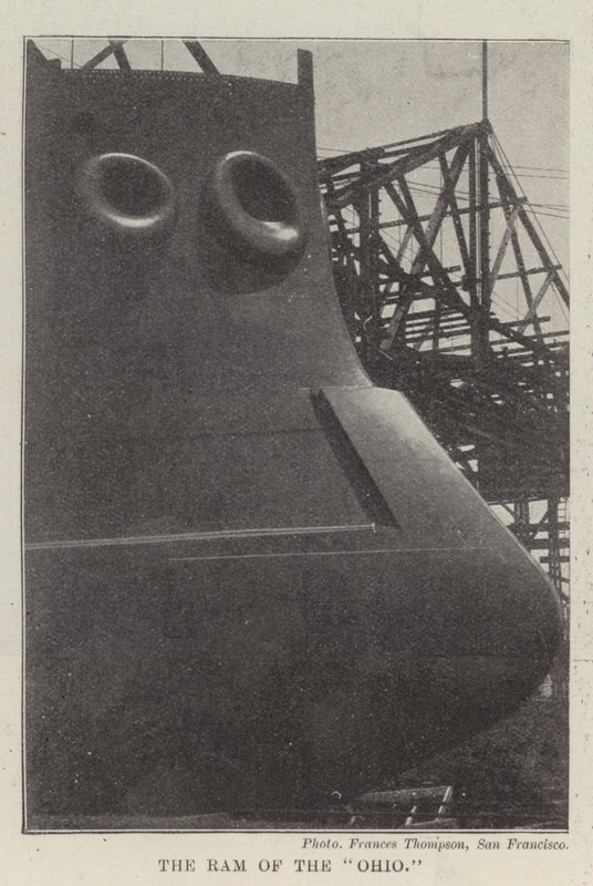 オハイオの雄羊 作： 英語の写真家