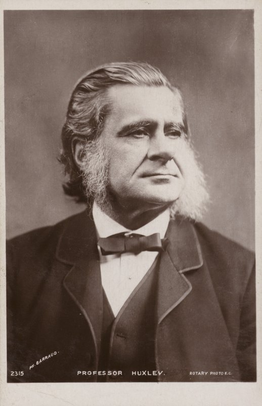 トーマスヘンリーハクスリー（1825-1895、イギリスの生物学者） 作： 英語の写真家