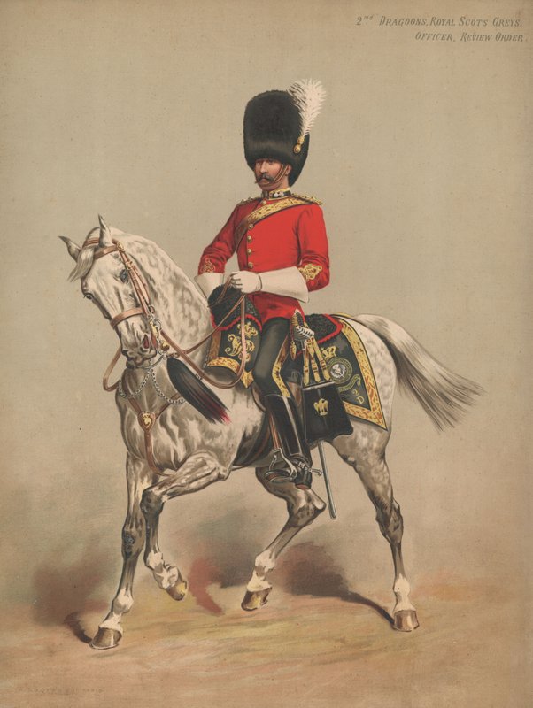 2nd Dragoons、Royal Scots Greys、オフィサー、レビュー注文 作： 英語学校