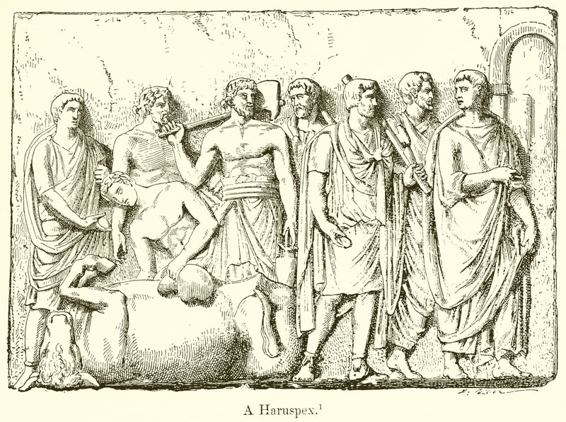 ハルスペックス 作： 英語学校