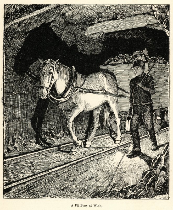 A Pit Pony at Work (e.g. engraving) 作： 英語学校