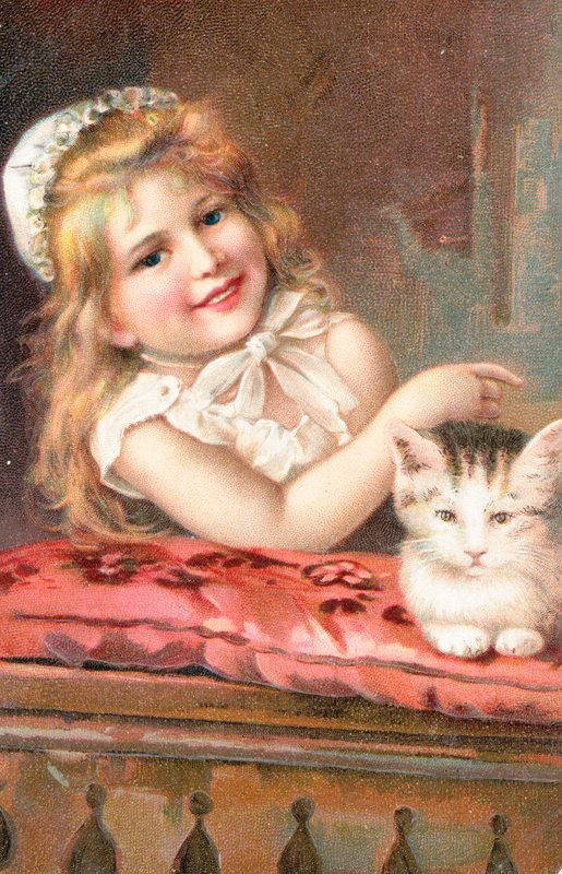 猫とポーズの少女 作： 英語学校