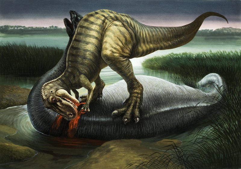 アパトサウルスを食べるアロサウルス 作： 英語学校