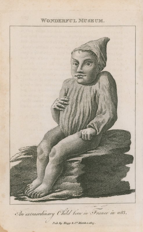 1683年にフランスで生まれた並外れた子供 作： 英語学校