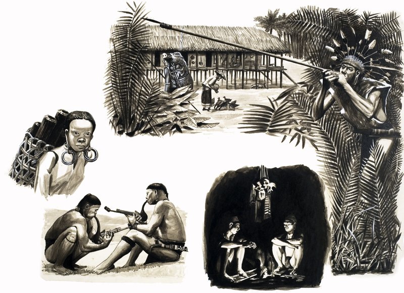 世界の古代民族：ボルネオのブローパイプハンター 作： 英語学校