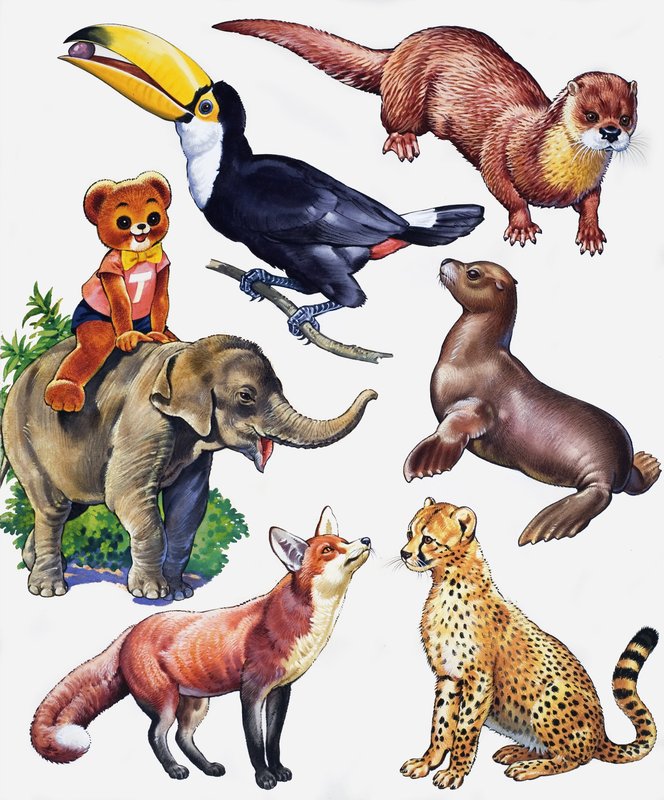 動物のモンタージュ 作： 英語学校