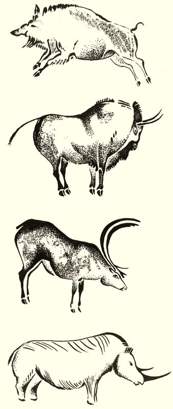 角のモンタージュを持つ動物 作： 英語学校