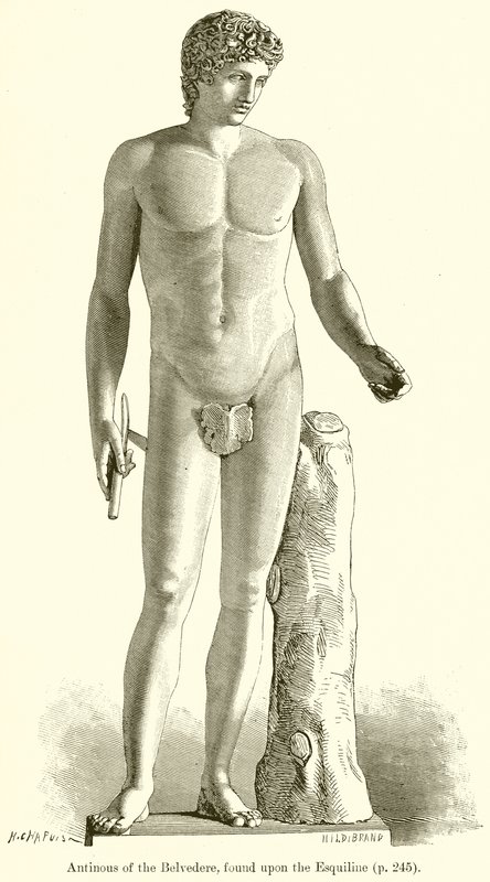エスキリンで発見されたベルヴェデーレのアンティヌス 作： 英語学校