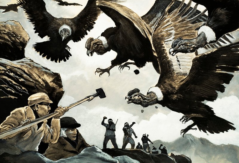 コンドルに襲われたアルマンドとミカエラデニス 作： 英語学校