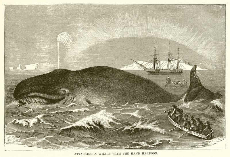 手の銛でクジラを攻撃する 作： 英語学校