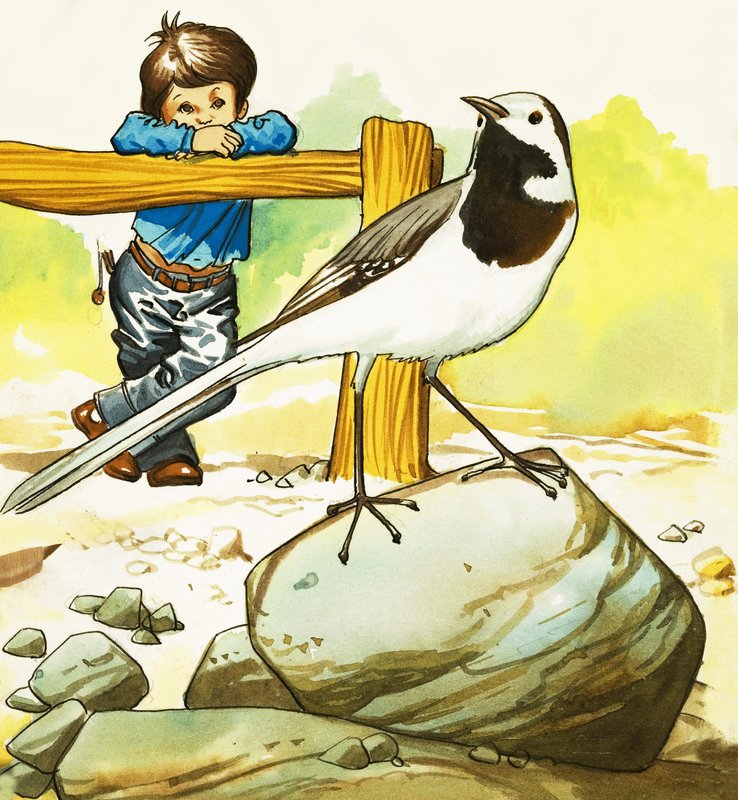 正体不明の鳥を見ている少年 作： 英語学校