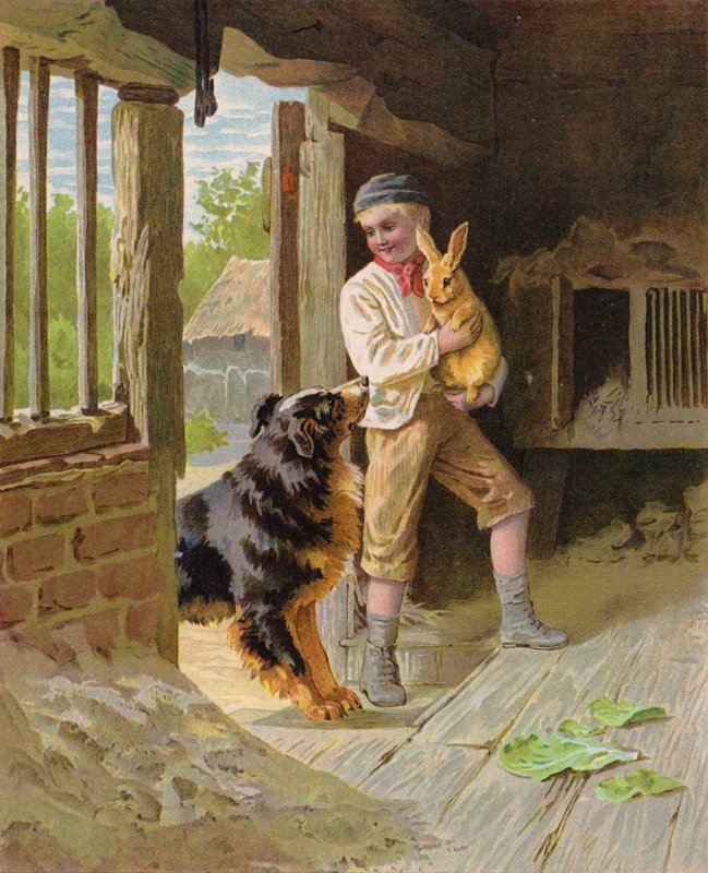 農場で犬とウサギを連れた少年 (クロモリト) 作： 英語学校