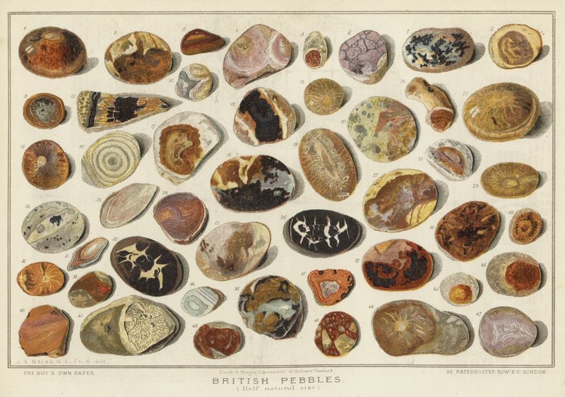 イギリスの小石（chromolitho 作： 英語学校