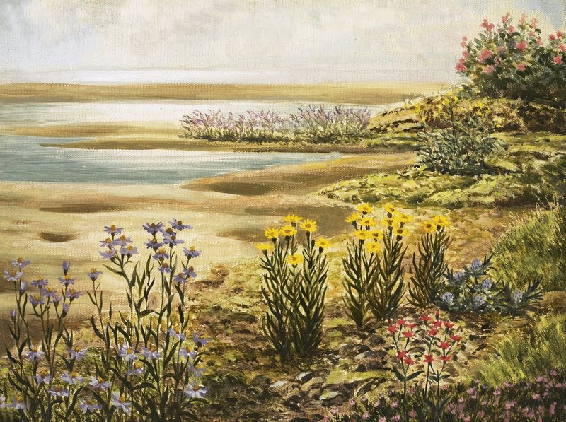 イギリスの塩湿地の花 作： 英語学校