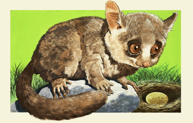 ブッシュベイビー 作： 英語学校