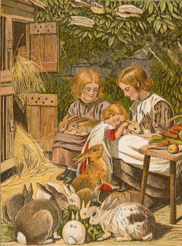ペットのウサギと子供たち（カラーリトグラフ） 作： 英語学校