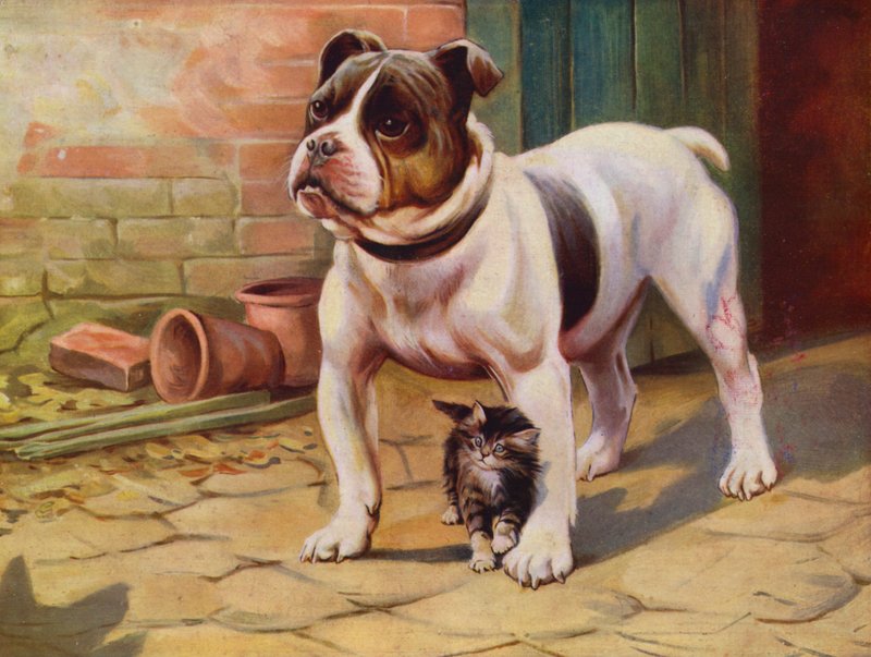 犬と子猫（カラーリソ） 作： 英語学校