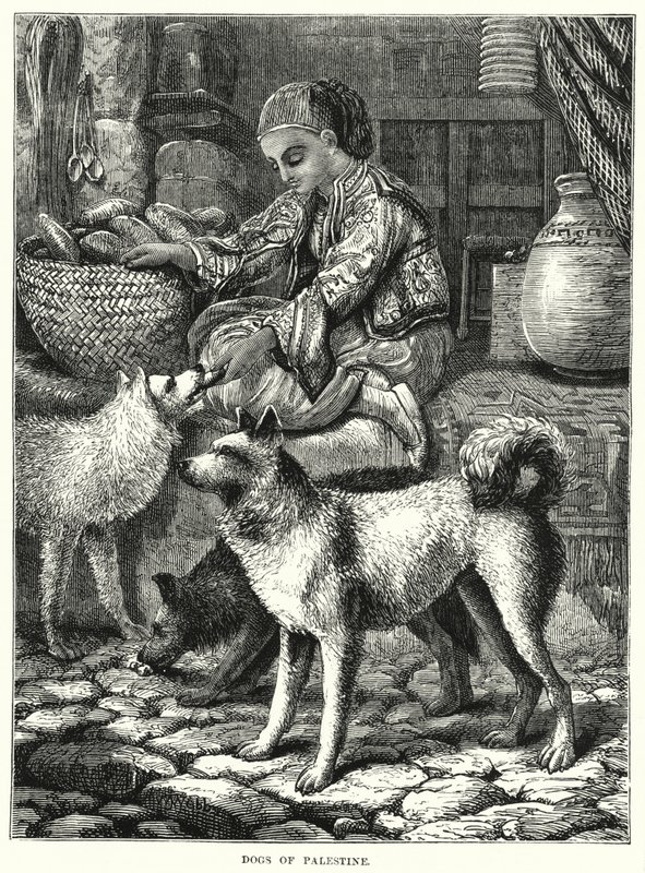 パレスチナの犬（彫刻 作： 英語学校